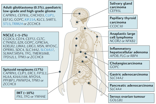 不同肿瘤中的ROS1融合蛋白