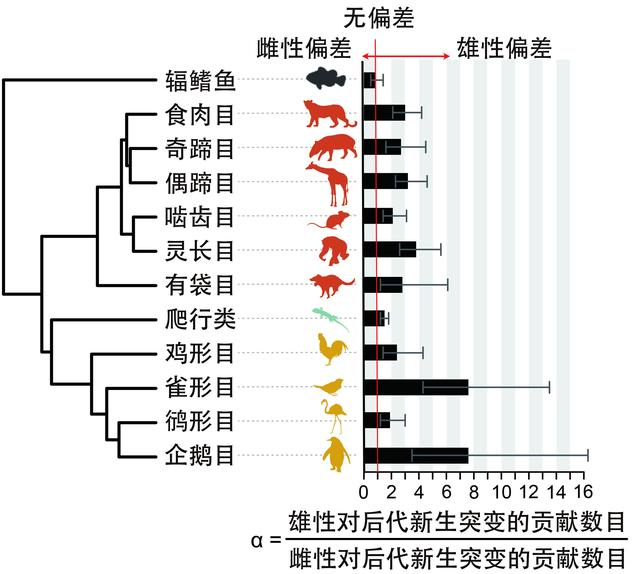 胚系变率在68种脊椎动物中的差异分布。浙江大学张国捷团队供图