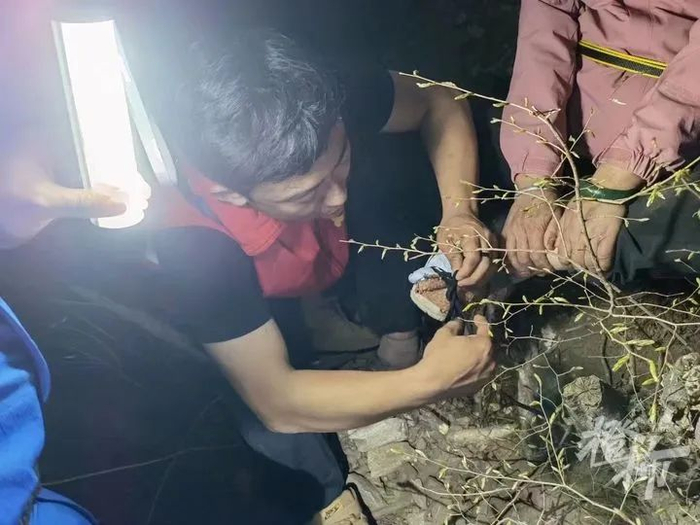 （图为刘金艺生前救援时，为被困者包扎伤口）图片来源：都市快报