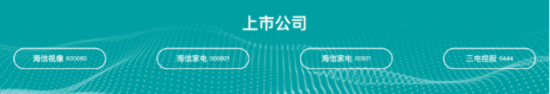 　　海信上市公司