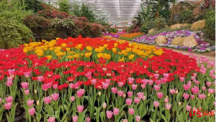 ▲花舞人间景区 资料图