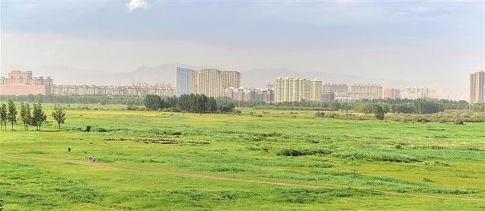     美丽的城中草原——赛汗塔拉吴 杰  摄