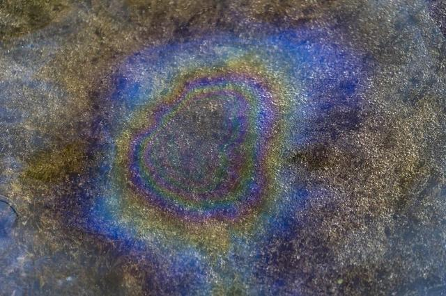 当地时间2023年2月24日，美国东巴勒斯坦，受化学品污染的溪流。图/视觉中国