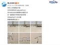 华为3月有点忙，除了P60手机，还有叫板苹果的8000元手表