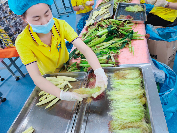 车间生产加工忙