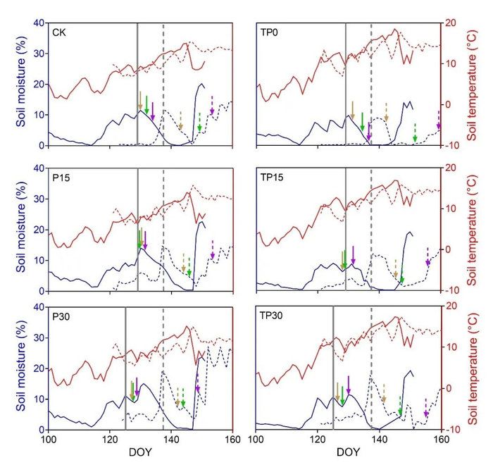 图5 不同实验处理中优势种返青期与雨季来临时间和日均土壤温度和水分的关系 
