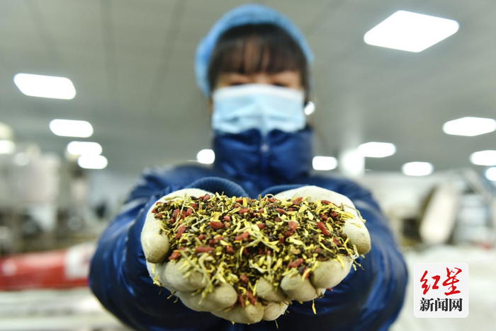 借助互联网，曾是“小配角”的花茶如今逆袭成了“大网红”。祝亮 摄