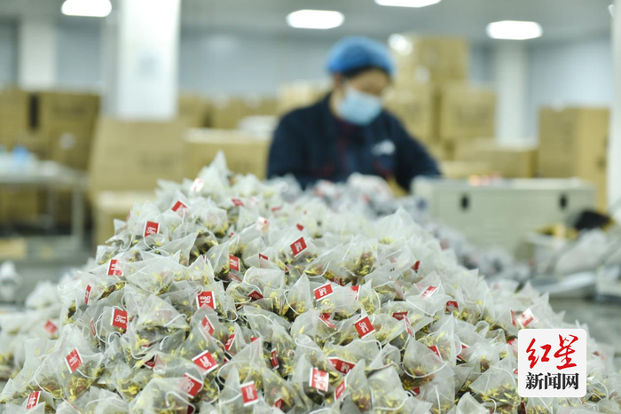 工厂内，工人正在忙着打包生产好的花茶。祝亮 摄
