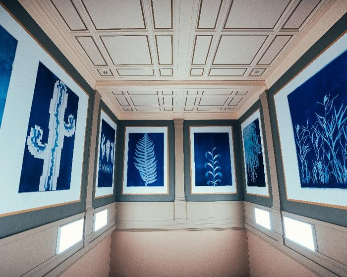 　　CHAUMET“植艺万千”艺术大展现场：安娜·阿特金斯摄影作品