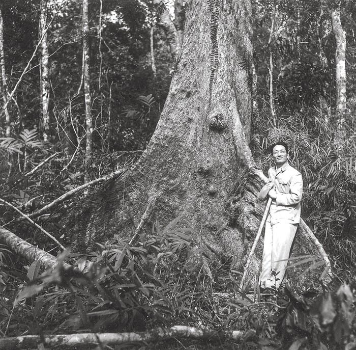 1962年10月，何康在尖峰岭考察。资料图