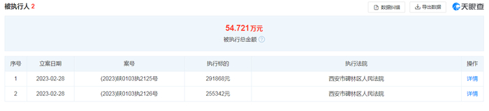 （图源:天眼查）