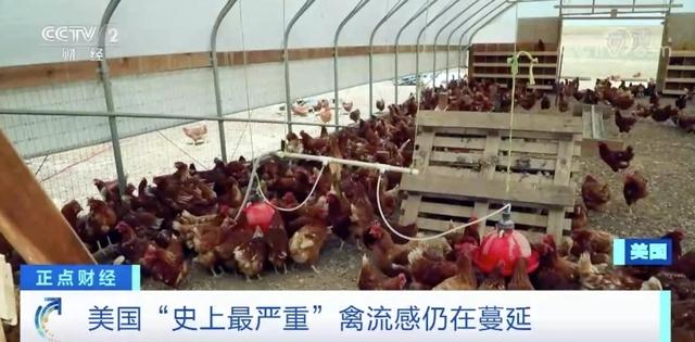 ↑此前报道截图