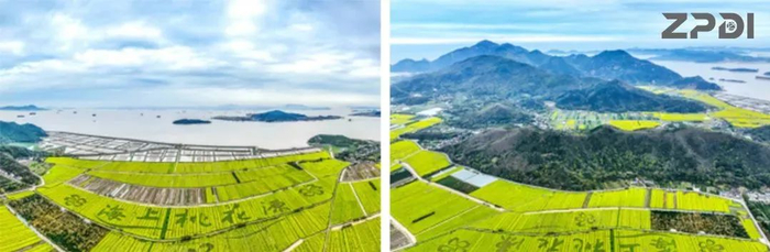 ▲&nbsp;沿海地区全域土地综合整治