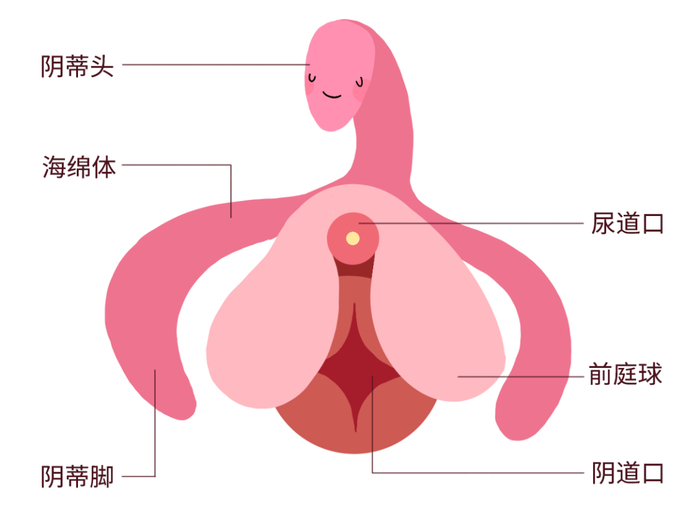 图片来源：自己做的