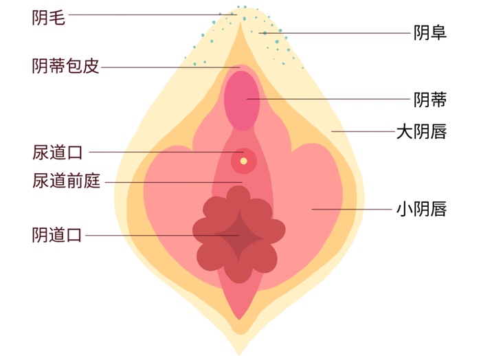 图片来源：自己做的