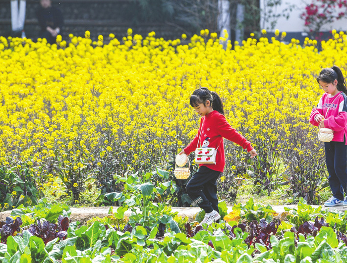 3月5日，在四川省崇州市道明镇，小朋友在油菜花田中玩耍&nbsp;新华社图