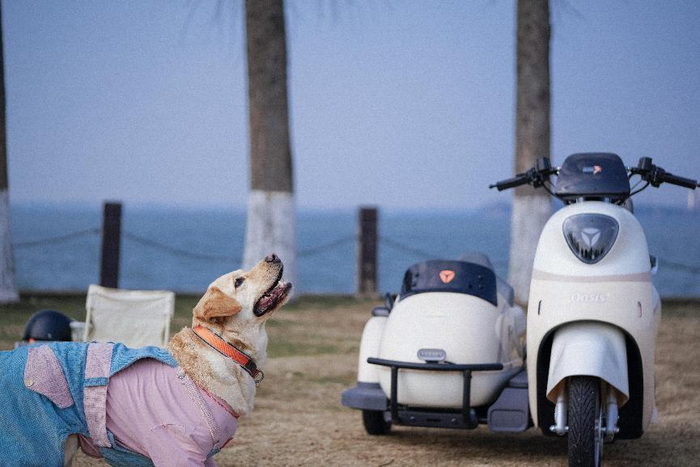 　　雅迪冠能M9旅行版