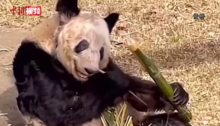 资料图。图片来源：中新视频