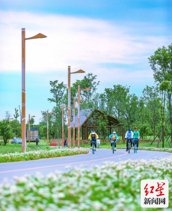 ▲市民在绕城绿道骑行。摄影：小雷