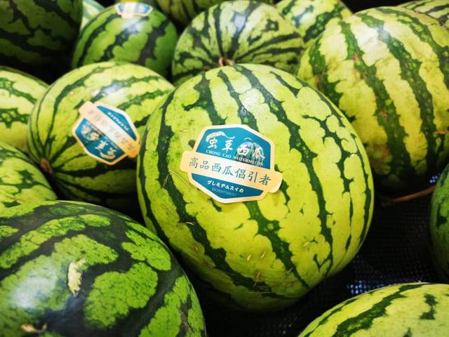 ▲在渝中区一家超市销售的“虫草西瓜”。