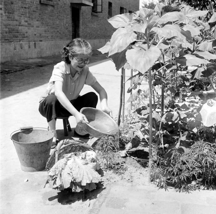 1962年，一位市民用家里的洗菜水浇菜地。高宏摄
