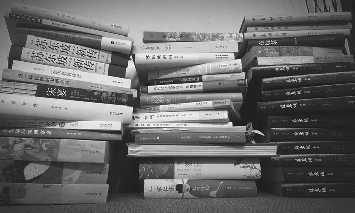 　　意公子写苏东坡时参考阅读的部分书目