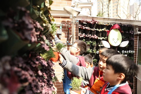 图说：校园里的迷你“童植园” 学校供图