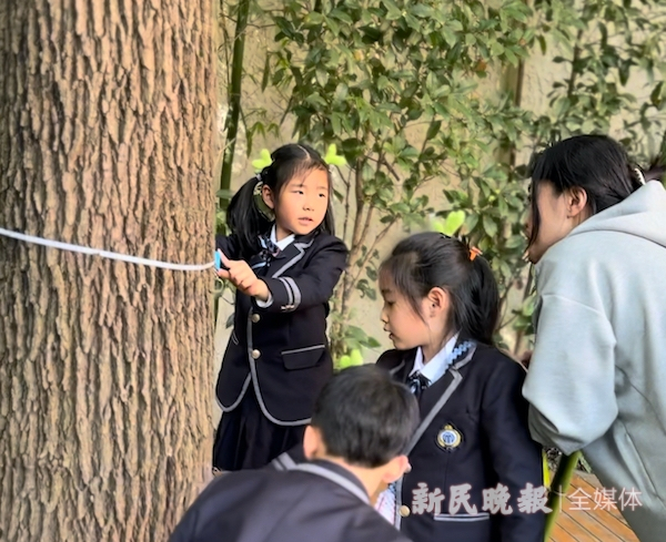 图说：孩子们给大树量“胸围” 新民晚报记者 陆梓华 摄