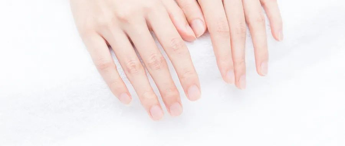 图片来源于摄图网