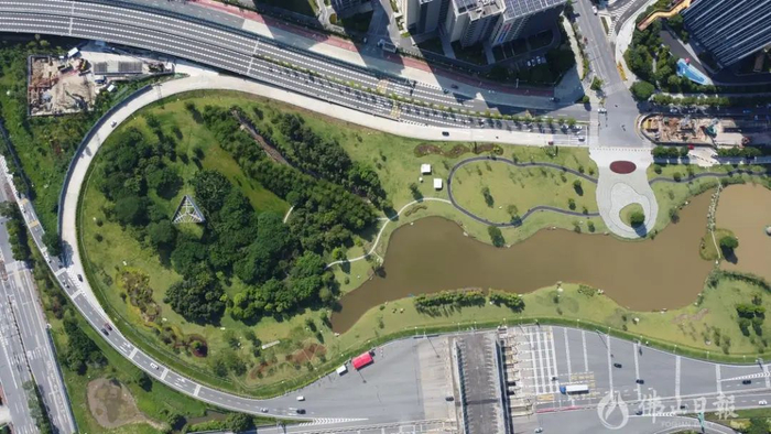 广珠西智谷湿地公园。