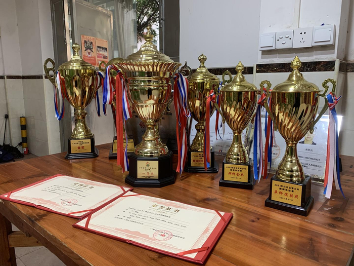 ↑合兴堂女子醒狮队所获奖杯、奖状 张哲亮 摄