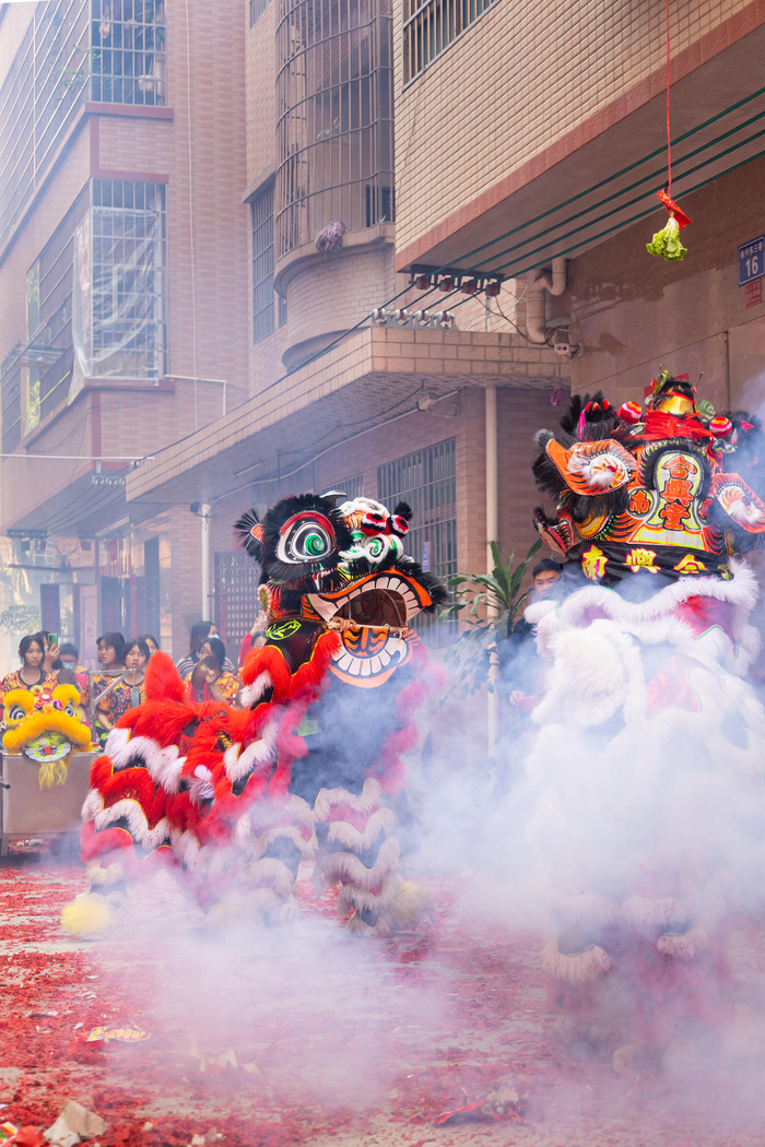 ↑南兴合兴堂醒狮队大年初一逐家拜年现场 张惠洪 摄