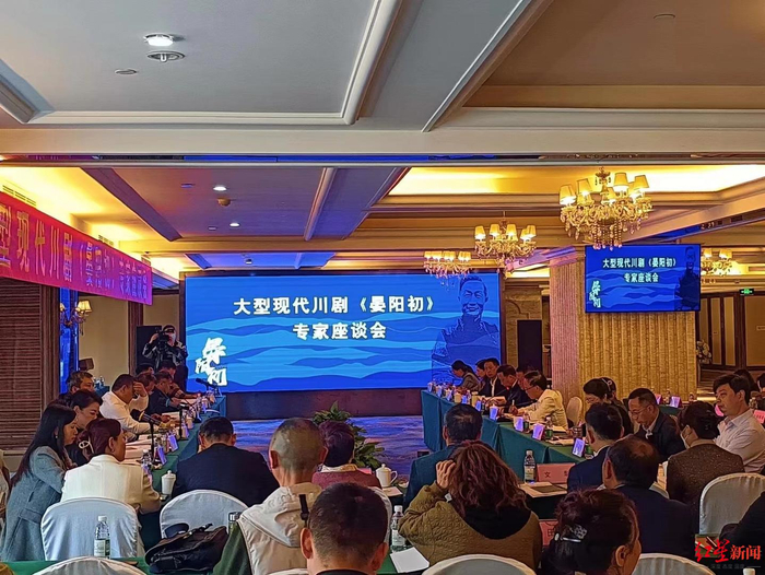 专家座谈会现场