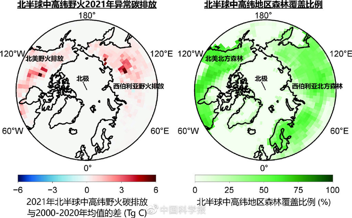 北方野火碳排放及森林覆盖分布? 受访者供图