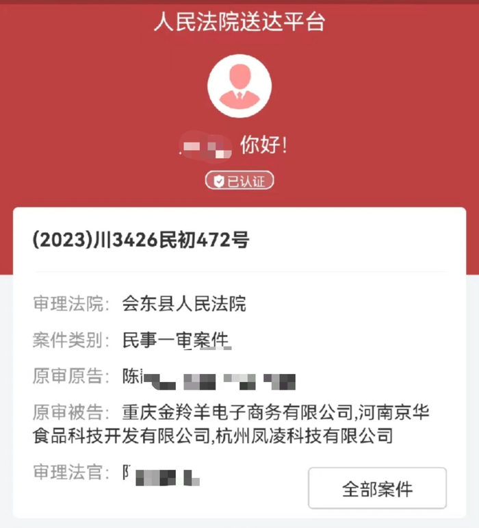 一审立案通知。