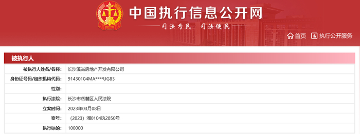 图源：中国执行信息公开网