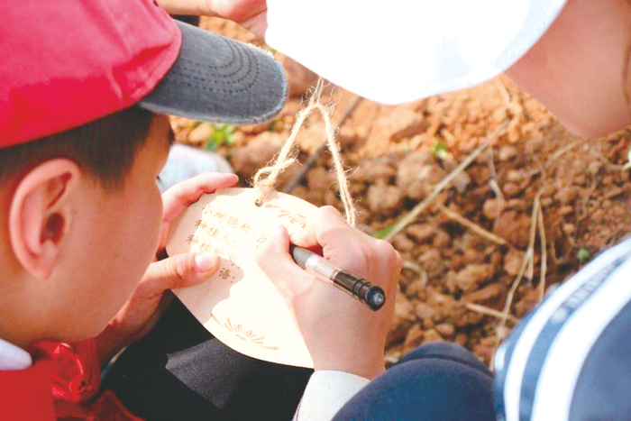     ▲彩虹路小学学生在植树牌上写下希望与寄语