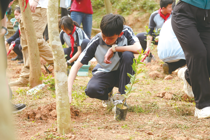     ▲南宁市第十四中学建政校区八（4）班的同学正在挖坑为种小树做准备