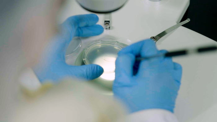 图：爱生生命技术人员正在进行秀丽线虫寿命延长实验