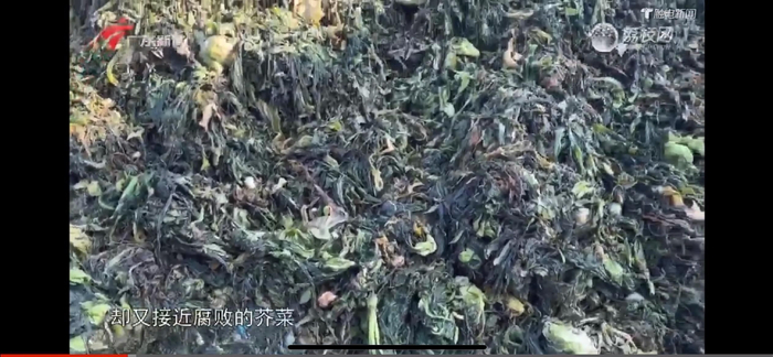 图片来源：节目截图