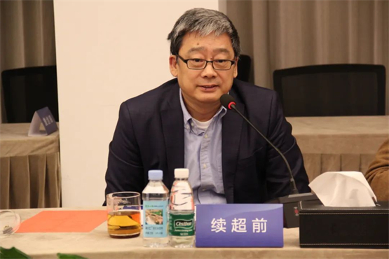 　　专家发言