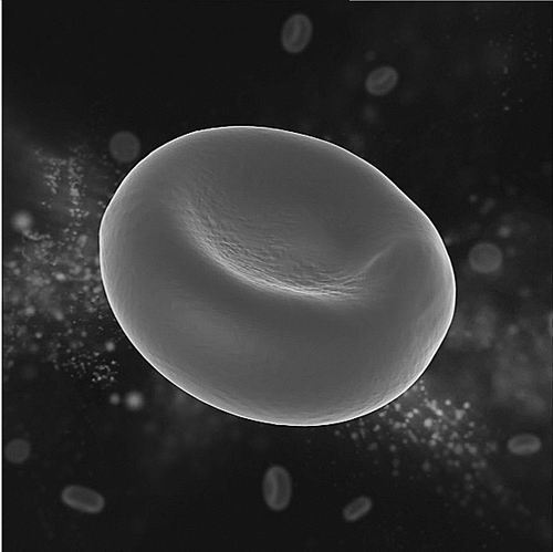 ①人类成熟红细胞形态示意图。