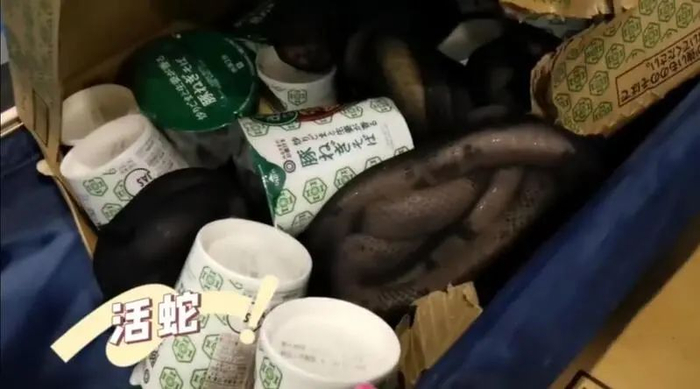 活体蛇夹藏在方便面的间隙中。（供图）