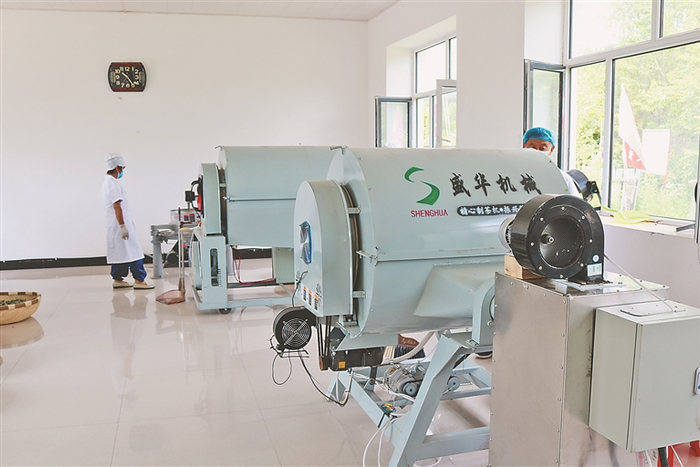     沙棘茶制作设备。