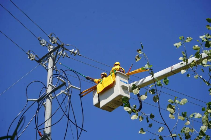 夏季高温期间，为给客户提供“不停电”服务，在三都水族自治县，南方电网工作人员采取带电作业方式解决用电故障。黎成雪摄