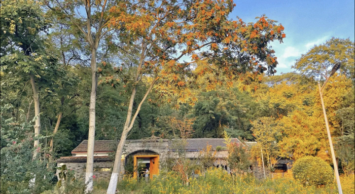 　　“画里的拾光”蒲竹草堂店