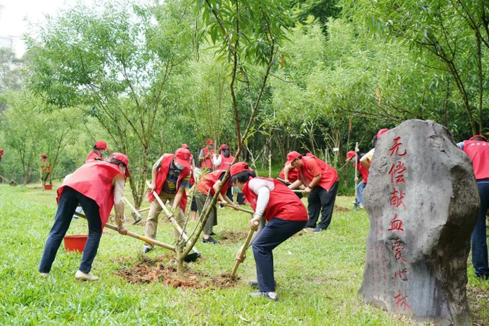 广西南宁狮山公园抚育护绿。