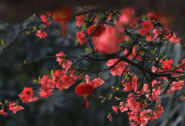 ▲摄影：朱三哥