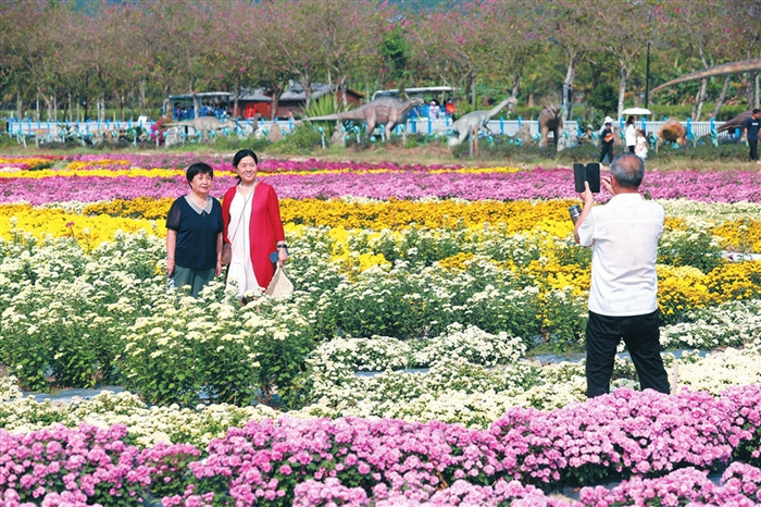 　　美丽的花海吸引市民游客前来观赏。三亚日报记者 李学仕 摄