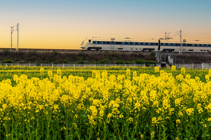 ▲图源：图虫创意